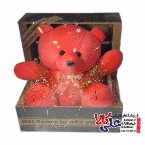 جعبه یا باکس هدیه نوزاد عروسک خرس کد07 (2) علیکالا
